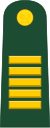 Lieutenant Colonel