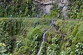 Tourists mountain-biking downhill