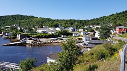 Fishing Village of Pool's Cove from a Hill