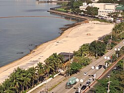 Aerial view of the beach with the tree-lined Roxas Boulevard to the right