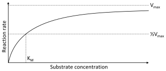 A two dimensional plot of substrate concentration (x axis) vs. reaction rate (y axis). The shape of the curve is hyperbolic. The rate of the reaction is zero at zero concentration of substrate and the rate asymptotically reaches a maximum at high substrate concentration.