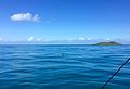 Buck Island and Sea Turtle