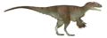 Sinotyrannus