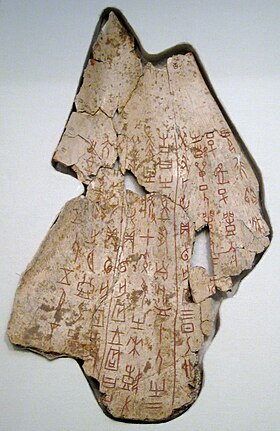 Ox scapula bearing oracle bone script, the common ancestor system of the Chinese family of scripts