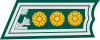 Colonel