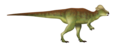 Pachycephalosaurus