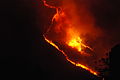 Image 50A wildfire in Venezuela during a drought (from Wildfire)