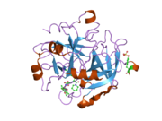 1ypk: Thrombin Inhibitor Complex