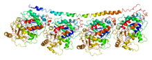 Protein TUBB2C PDB 1ffx.png