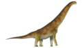 Brachiosaurus