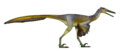 Buitreraptor