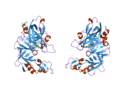 2g1y: Ketopiperazine-Based Renin Inhibitors: Optimization of the ""C"" Ring