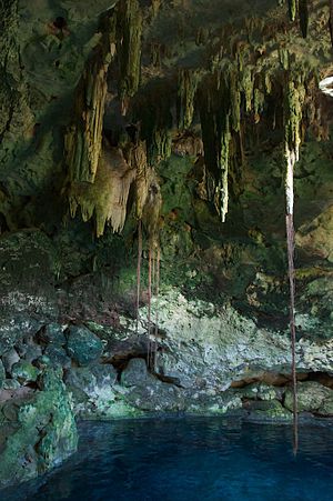 Cenote Chansinic'Ché.