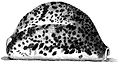 Drawing of a right-side view of the shell of Cypraea tigris from Index Testarum Conchyliorum.(1742) by Niccolò Gualtieri.