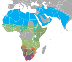 Striped hyena in blue, Brown hyena in purple, Spotted hyena in light green, Aardwolf in green