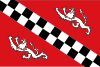 Flag of Puurs-Sint-Amands