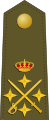 General de ejército (Spanish Army)[22]