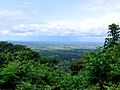 A view from the top of the park.