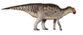 Gryposaurus