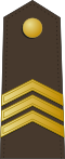 Seržants (Latvian Land Forces)[57]