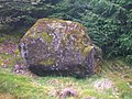 The Carlin Stone near Craigends Farm. 2007.