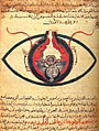 Image 7The eye according to Hunayn ibn Ishaq, c. 1200 (from Science in the medieval Islamic world)