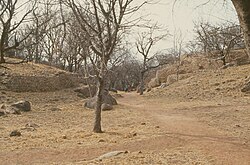 Ruins of Khami