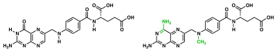 Two dimensional representations of the chemical structure of folic acid and methotrexate highlighting the differences between these two substances (amidation of pyrimidone and methylation of secondary amine).