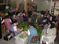 Schmiedeleut Hutterite women at work