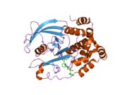 2nt7: Crystal structure of PTP1B-inhibitor complex