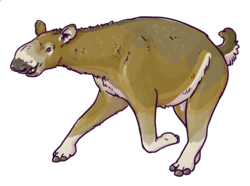 Life restoration of Macrauchenia, a camel-sized ungulate