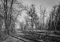 Native burial mounds