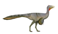 Pelecanimimus