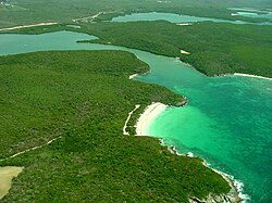 Mosquito Bioluminescent Bay in Vieques