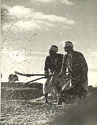 Farmers near Bayt Jirja threshing wheat in 1940