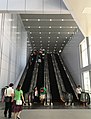 Escalators just after the pedestrian link entrance at the KLIA Ekspres arrival hall