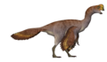 Oviraptor