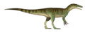 Australovenator