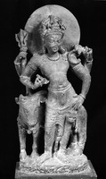 Sculpture of Shiva from Shamlaji.