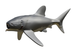Titanichthys termieri