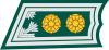 Lieutenant Colonel