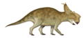 Pachyrhinosaurus