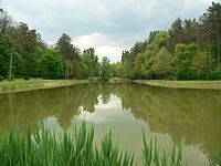 Lake in Tamási