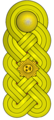 General de brigada (Venezuelan Army)[53]