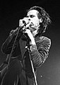 Nick Cave