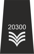 UK Patrol Sergeant Epaulette