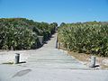 Walkway towards mound