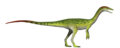 Coelophysis