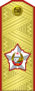 Vice marshal