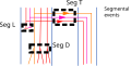 Multiple gene lineages can undergo joint events like segmental duplication, transfer or loss, or even whole genome duplication.